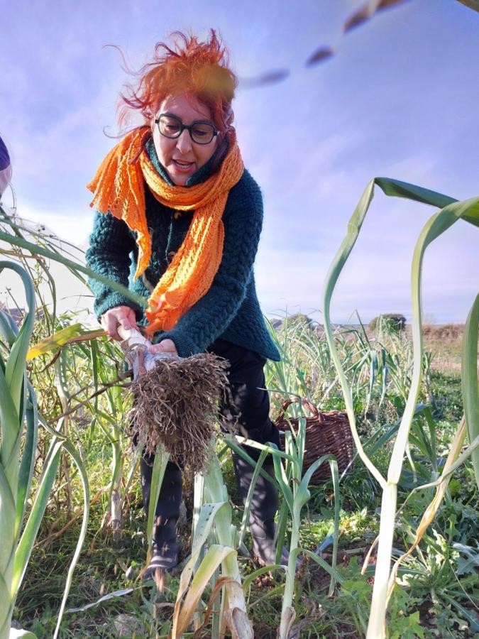 Turismo Rural La Ojinegra Alloza Dış mekan fotoğraf